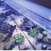 Aquanix Frag Tutucu