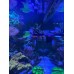 Aquanix Frag Tutucu